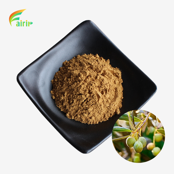 Organic Olive Leaf Extract Powder